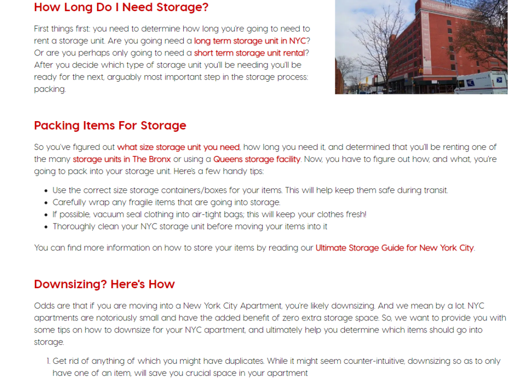 moishes self storage blog example