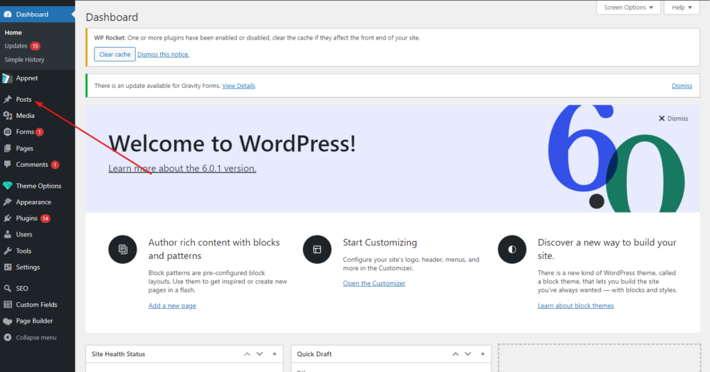 click on posts in the backend of wordpress